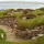 Neolithic Houses of Skara Brae